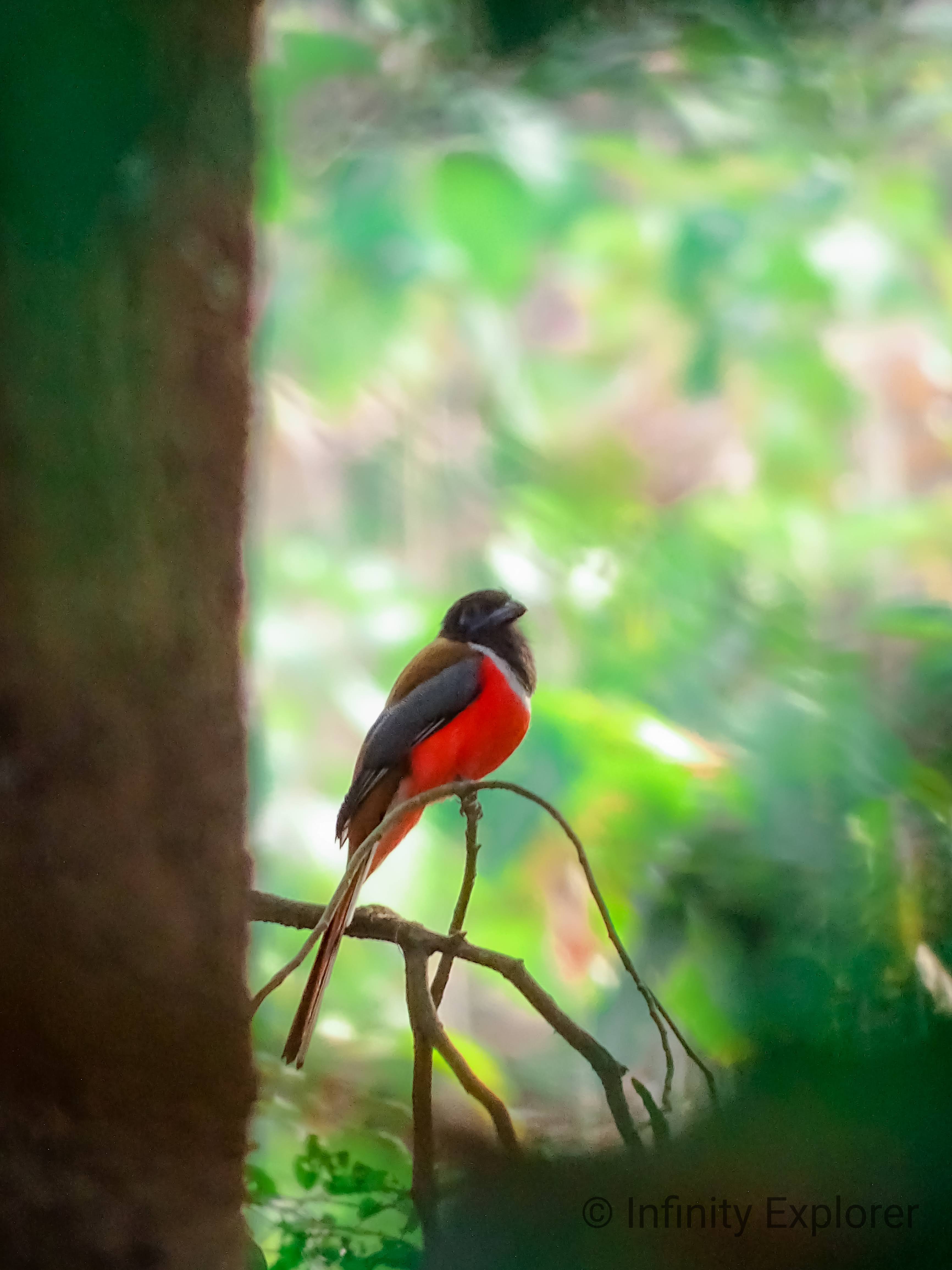 Kerala landscape, India